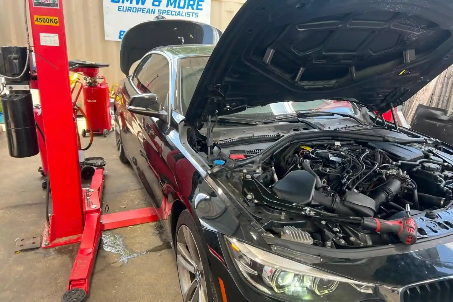 BMW vehicle service and repair provided by our team